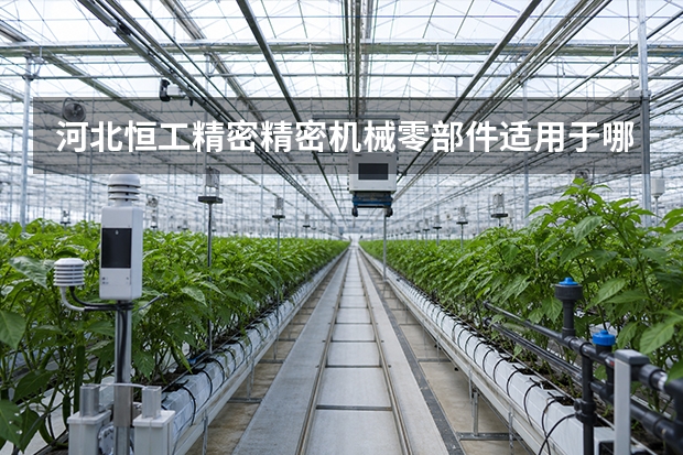 河北恒工精密精密机械零部件适用于哪些工况？应用场景与适配建议